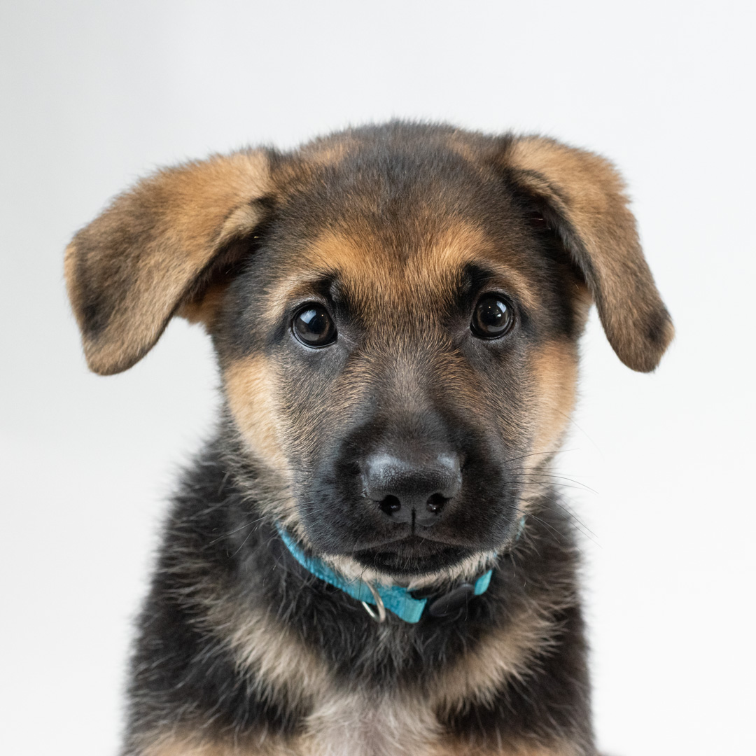 Description of image