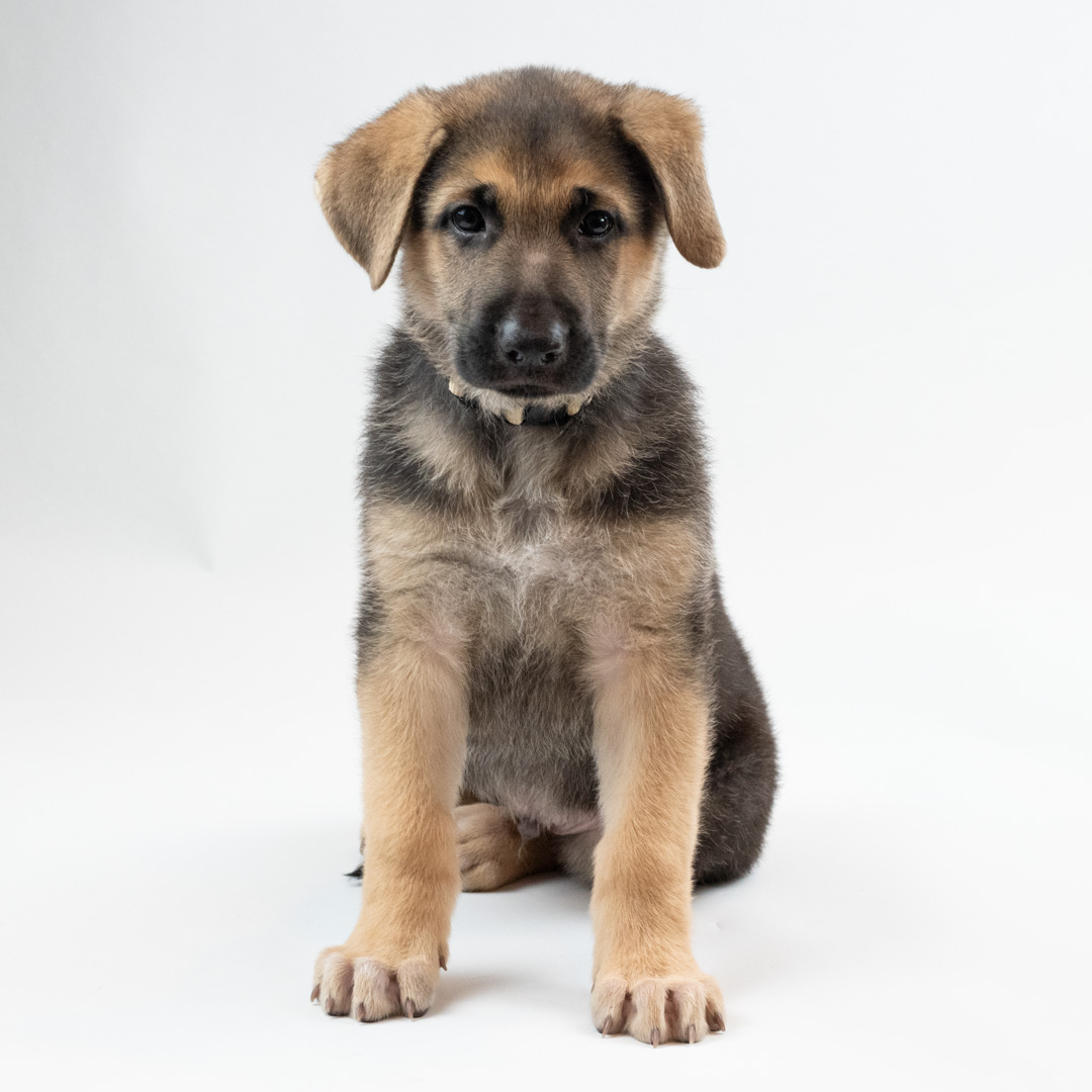 Description of image